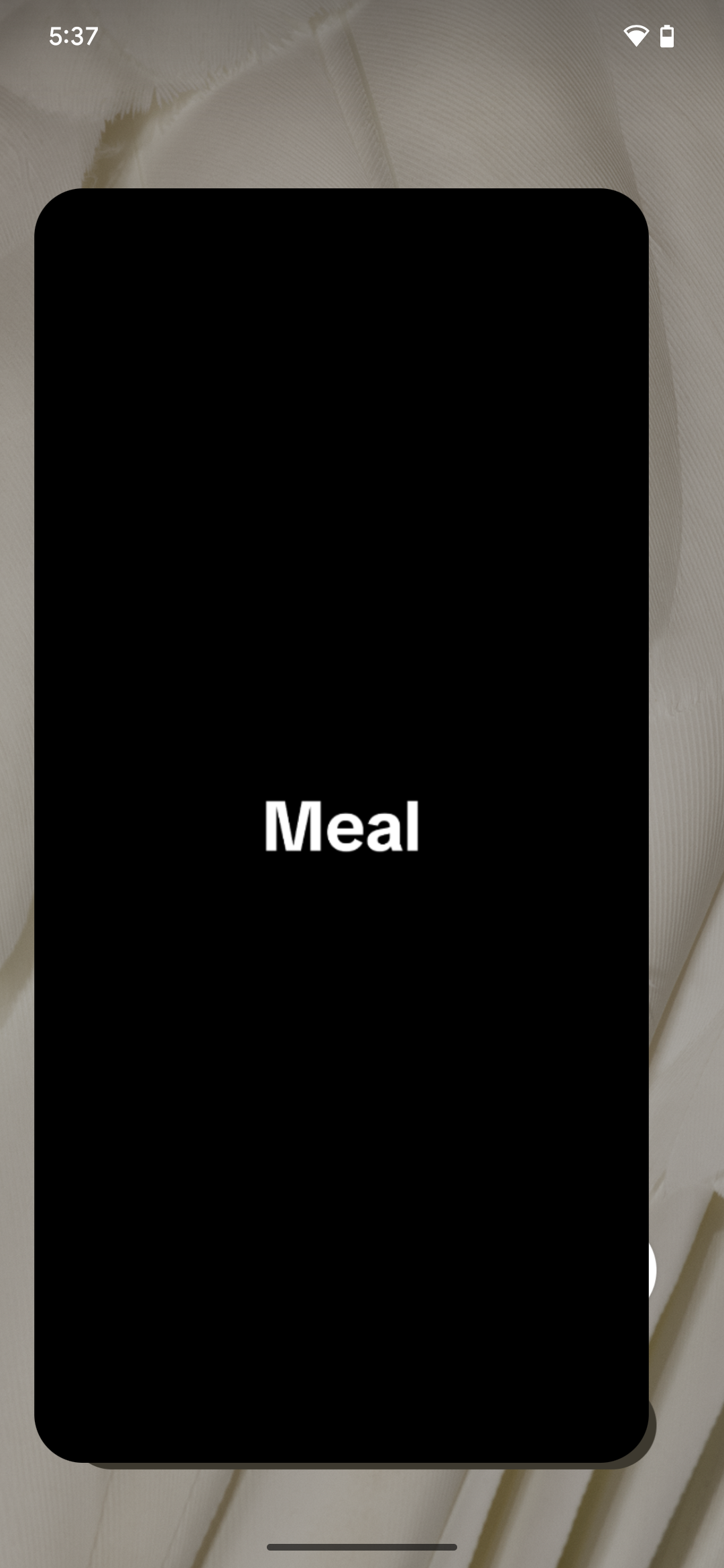 App splash screen (shown mid app open animation)